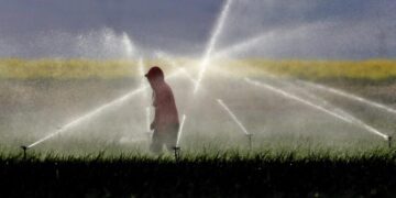 California to phase out paraquat, a powerful weedkiller associated with serious health issues