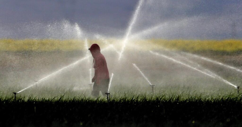 California to phase out paraquat, a powerful weedkiller associated with serious health issues