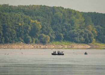 Record low Danube levels push some countries in Eastern Europe to the brink of energy emergency