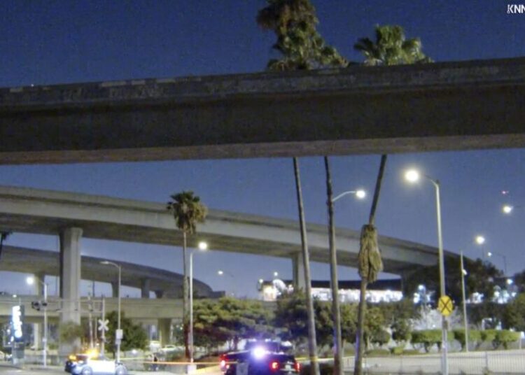 Motorcyclist takes fatal fall over edge of 105/110 freeway interchange in Los Angeles