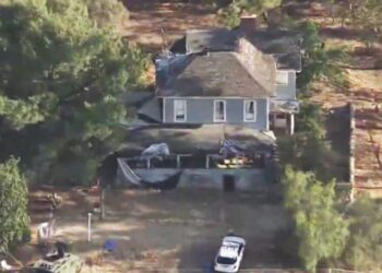 Authorities identify gunman killed by San Bernardino deputies during tree-trimming dispute