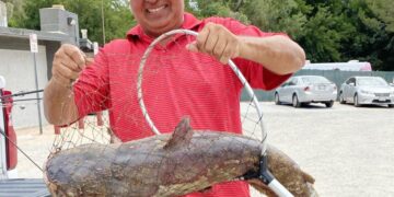 Massive ‘scale-breaking’ catfish caught in Southern California lake; ‘Catzilla’ still on the loose