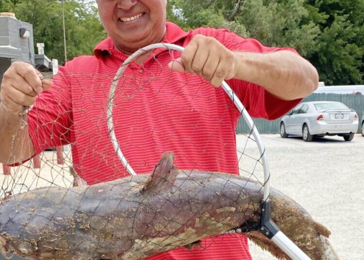 Massive ‘scale-breaking’ catfish caught in Southern California lake; ‘Catzilla’ still on the loose