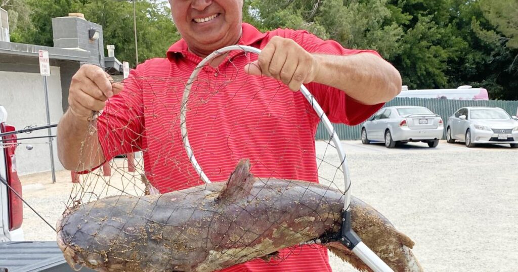 Massive ‘scale-breaking’ catfish caught in Southern California lake; ‘Catzilla’ still on the loose