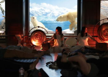 Taxidermy sound bath? How an unconventional idea works at the Natural History Museum