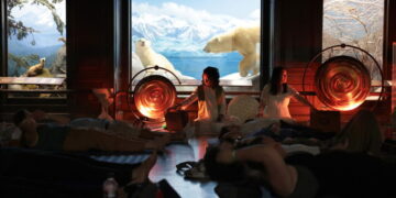 Taxidermy sound bath? How an unconventional idea works at the Natural History Museum