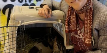 Grammy-winning songwriting legend Diane Warren adopts ‘Wilbur’ the rogue WeHo pig