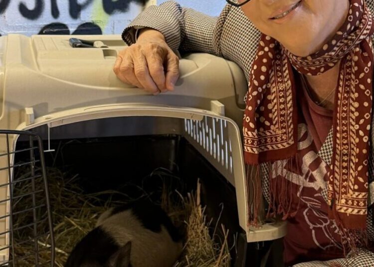 Grammy-winning songwriting legend Diane Warren adopts ‘Wilbur’ the rogue WeHo pig