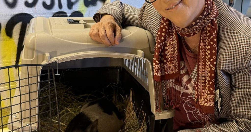 Grammy-winning songwriting legend Diane Warren adopts ‘Wilbur’ the rogue WeHo pig