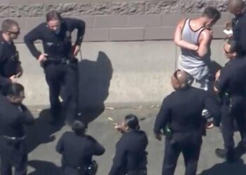 Pit Stop Pursuit: L.A. burglary suspect hits the gas station before hitting CHP cruiser
