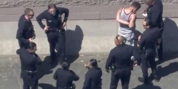 Pit Stop Pursuit: L.A. burglary suspect hits the gas station before hitting CHP cruiser