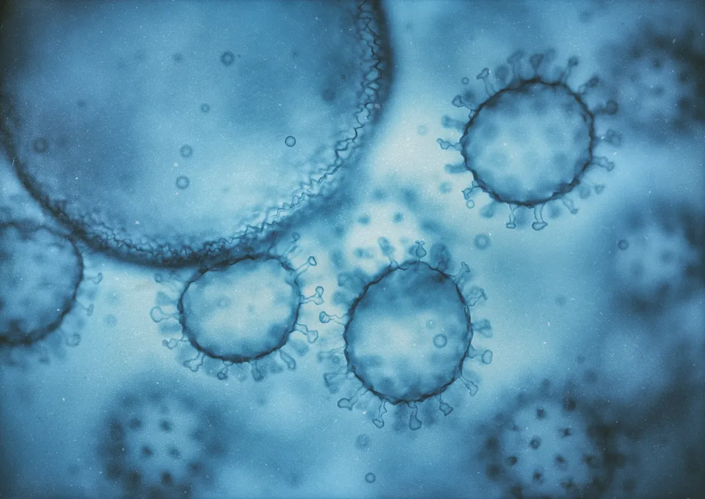 Illustration of several viruses, showing their protein coats and spikes, against a blue background.