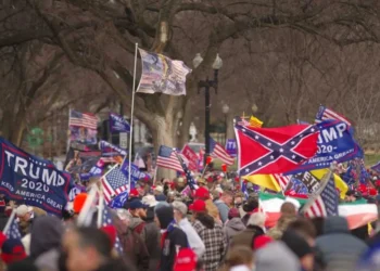 Alarms blare as DHS slips election denier who defended ‘QAnon Shaman’ onto its payroll