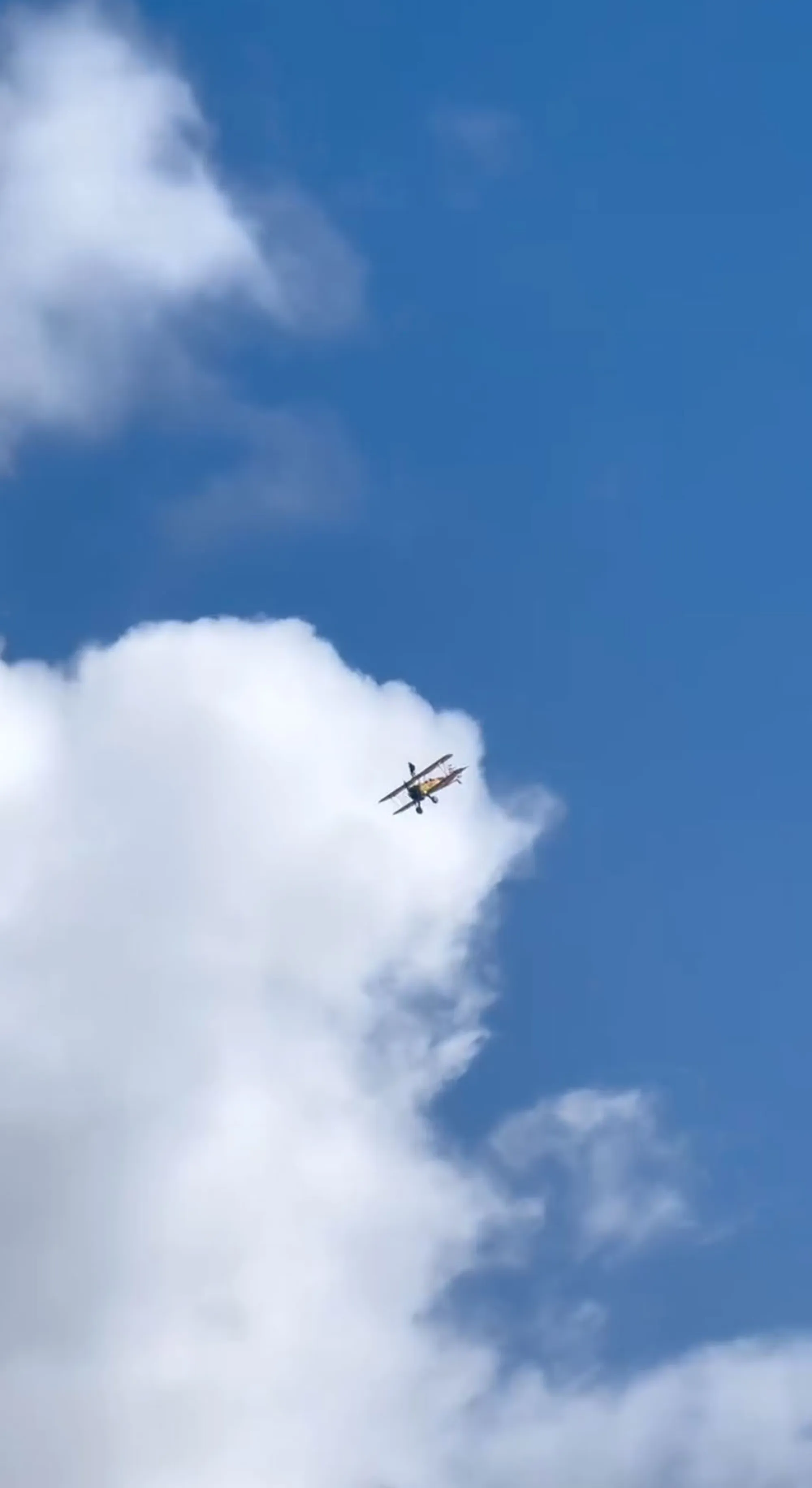 Sydney sweeney's plane in the sky