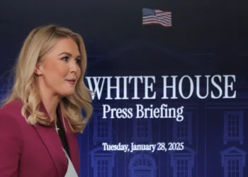 Foul-mouthed pundit tops list to replace fleeing White House press secretary: sources