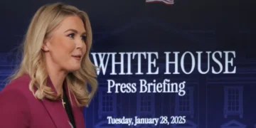 Foul-mouthed pundit tops list to replace fleeing White House press secretary: sources