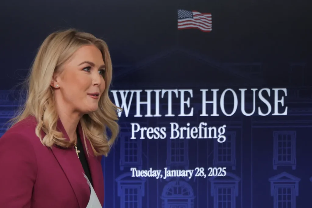 Foul-mouthed pundit tops list to replace fleeing White House press secretary: sources