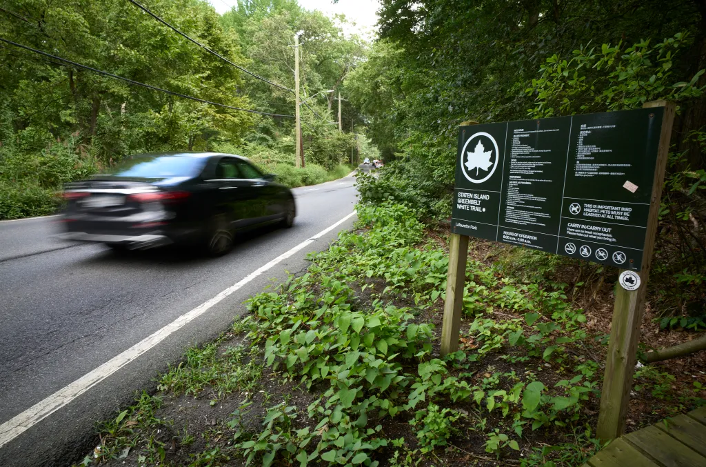 A car speeding past a sign for the Staten Island Greenbelt White Trail next to a road and dense forest.