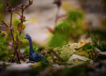 Scientists Finally Discovered Why There Were No Pocket-Sized Dinosaurs