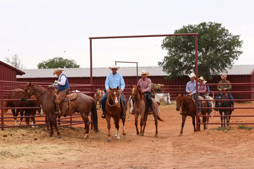 Six cowboys on horseback in a dirt corral, riding their colts for the first time outside.