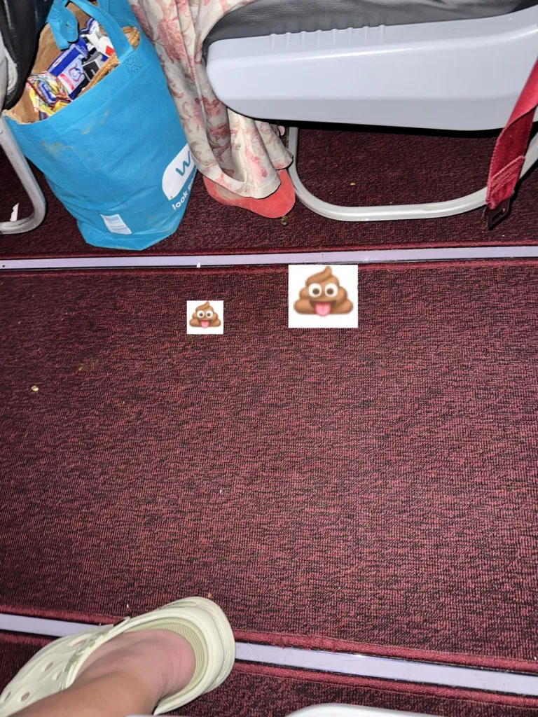 Airplane aisle with poop emojis.