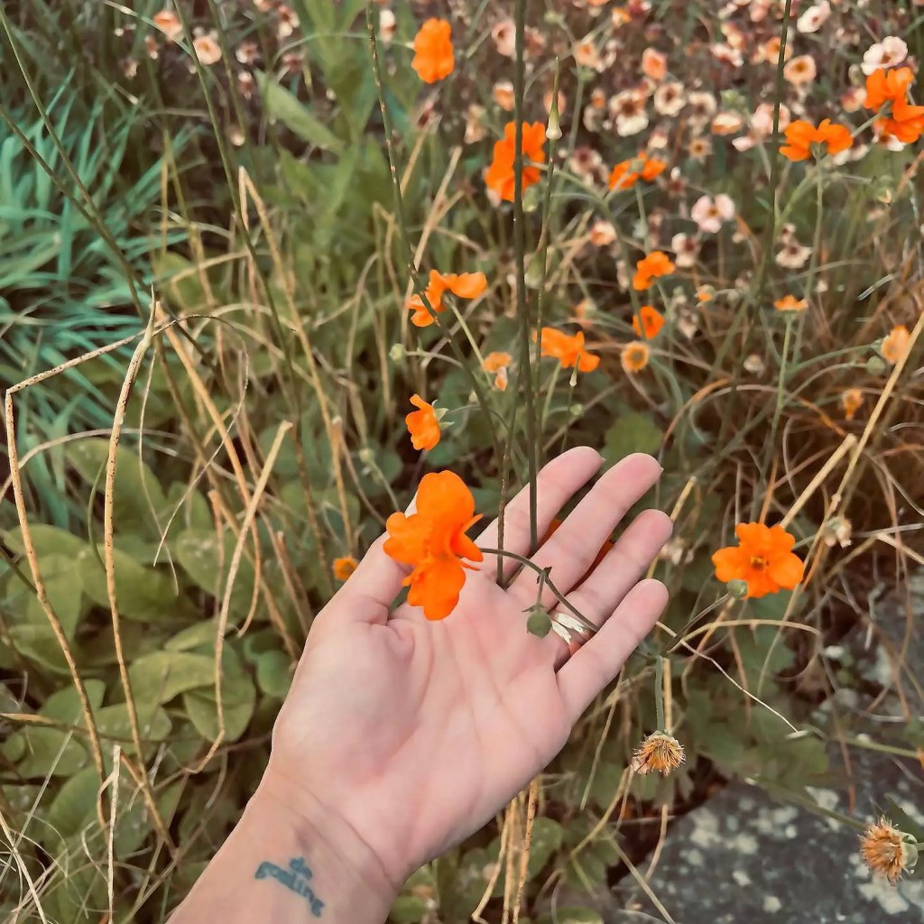 A hand with a
