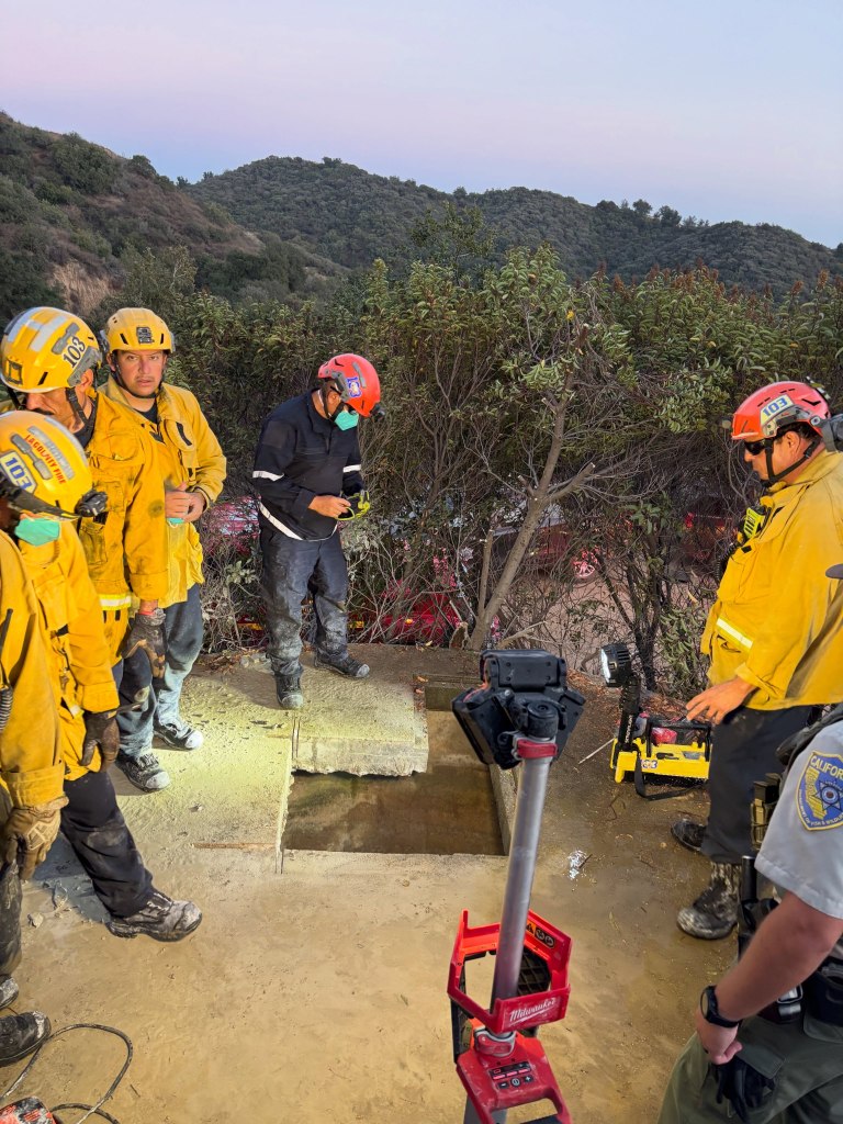 Rescue workers gathered around a large hole on the ground in a bushy area.