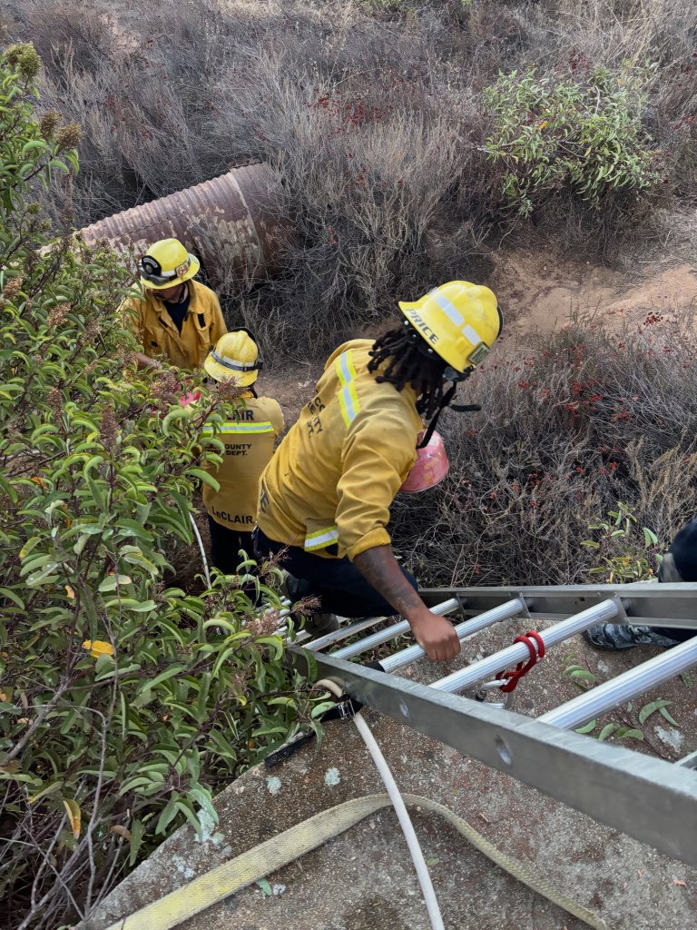 Firefighters using a ladder to assist a mother bear and three cubs trapped in a pipe.