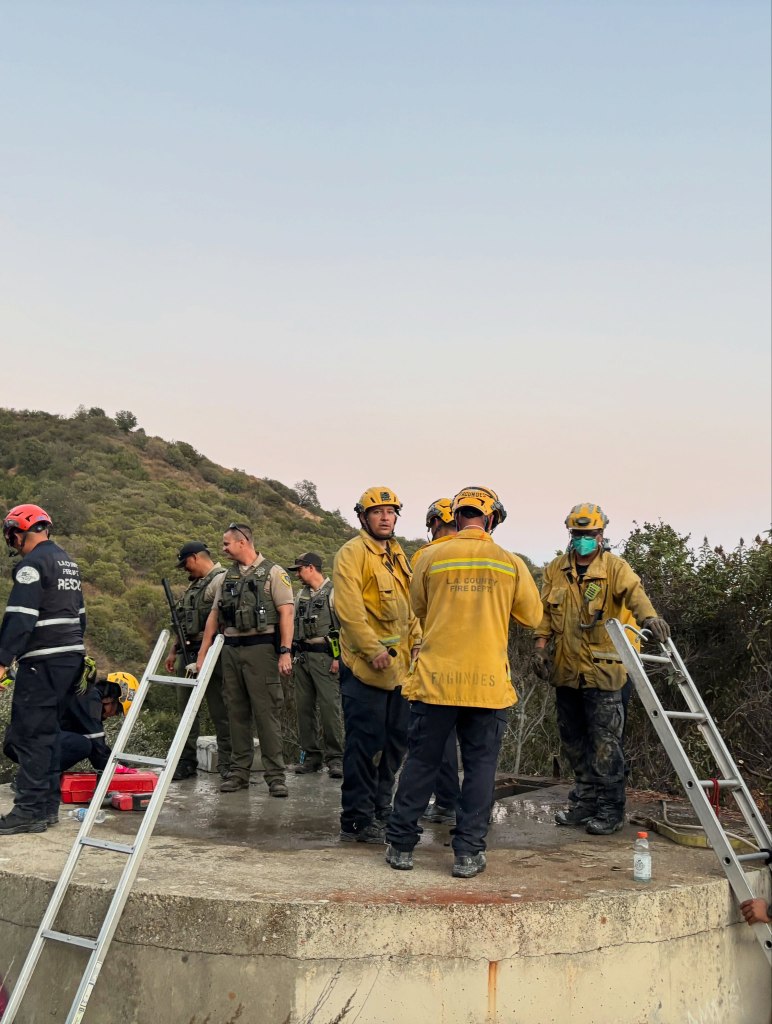 Rescue workers and law enforcement officers stand on a concrete surface with two ladders, possibly preparing for an animal rescue.