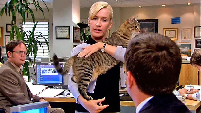 Angela Kinsey holding a cat in an office, with Dwight Schrute looking on.