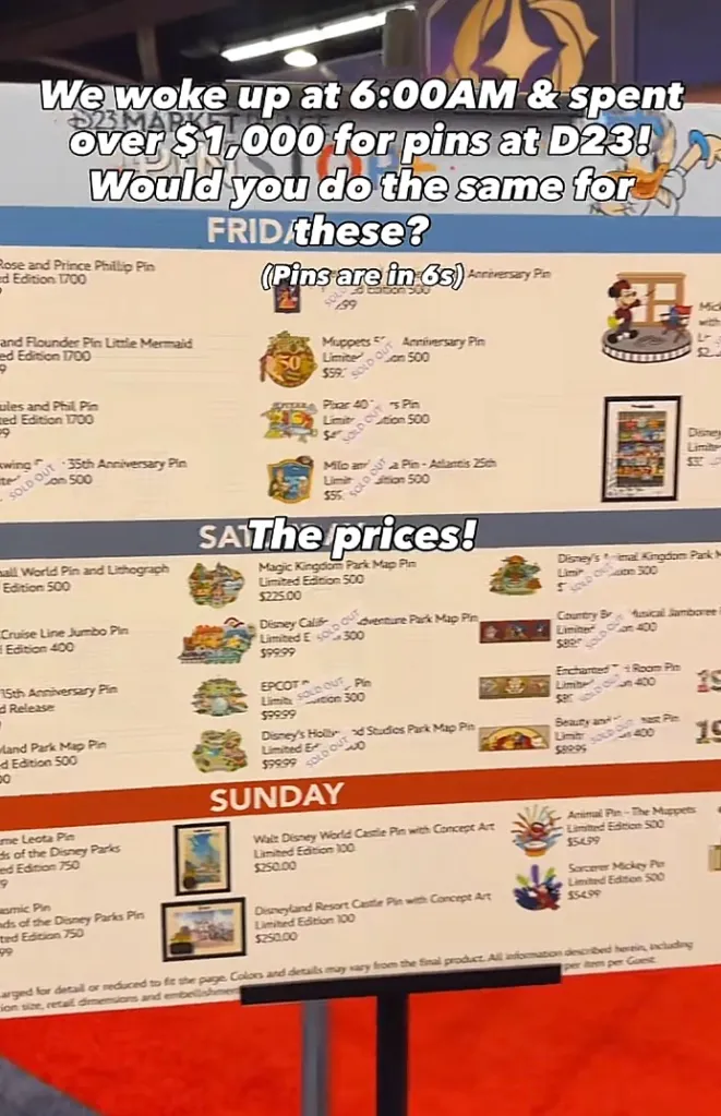 A list of limited edition pins and their prices, with some marked 