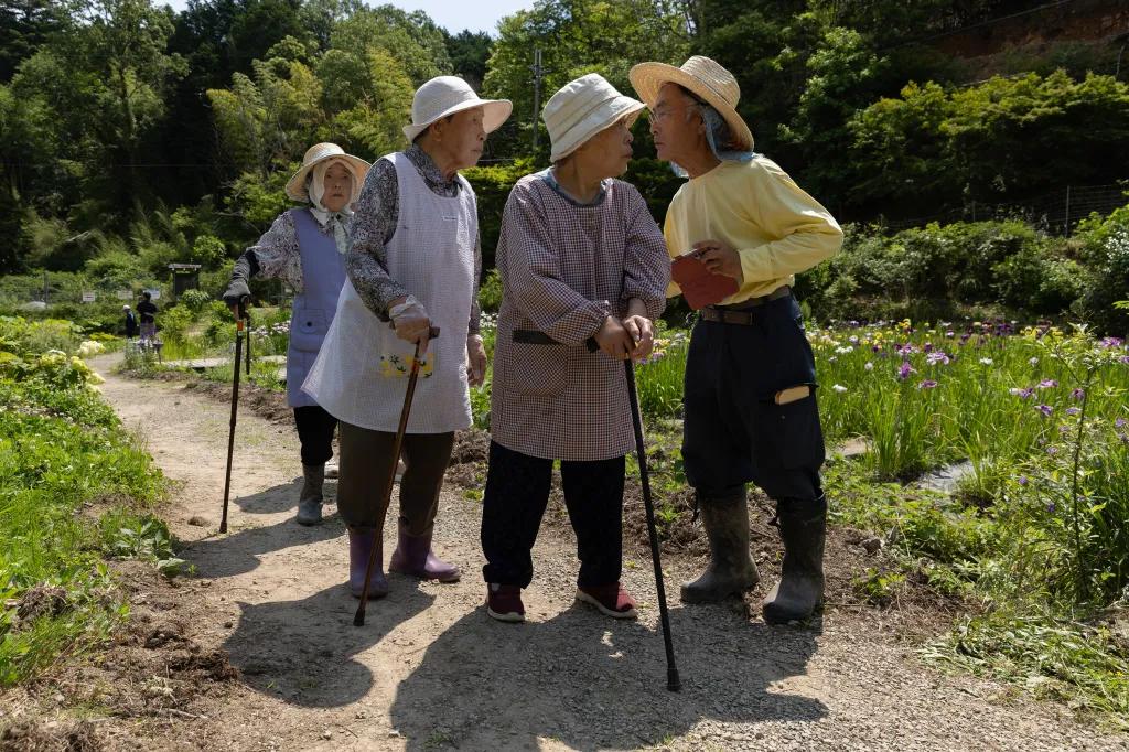 Senior residents walk while examining an iris flower field.