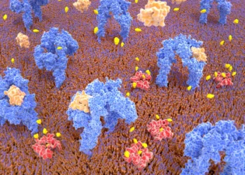 Some Pancreatic Cells Are Just One Genetic Tweak Away From Treating Diabetes