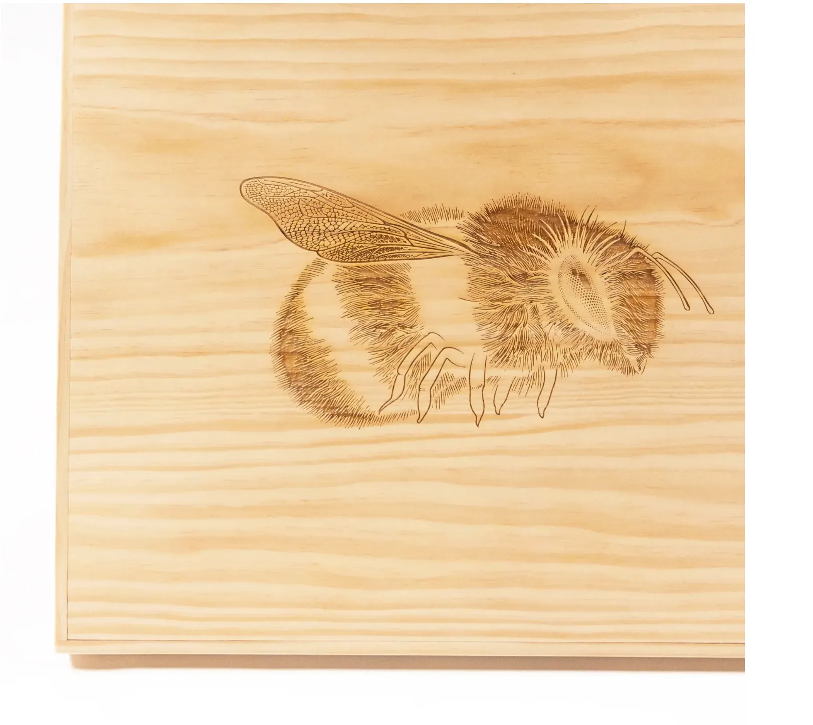 Illustration of a fluffy bumblebee engraved into a light wooden panel.