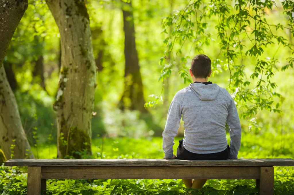 A man in a grey hoodie sits on a wooden bench, looking out at a sunlit green forest.