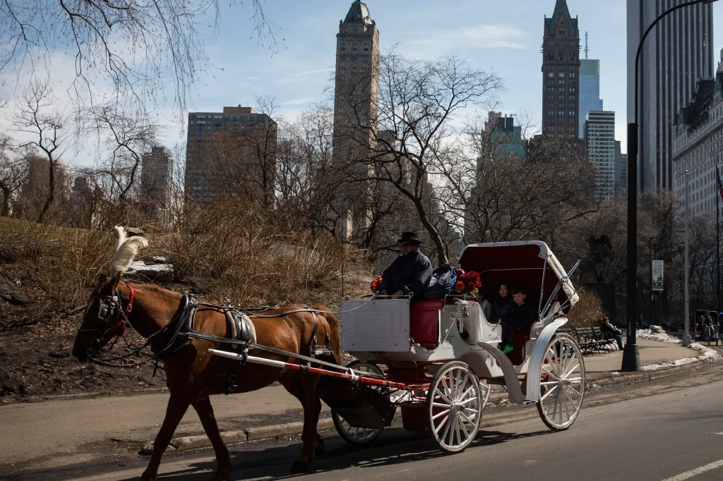 Horse-drawn carriage with a driver and passengers in Central Park, New York City.