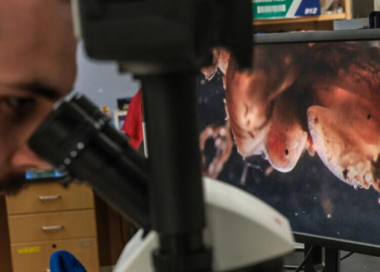 Voters would decide on a $7.5-billion science bond to fund state research if Newsom approves