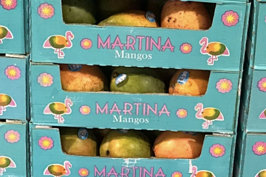 Boxes of Martina Mangoes that have been recalled due to potential Salmonella contamination.