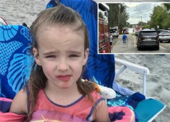Nonverbal 5-year-old found dead in South Carolina waterway after wandering from vacation rental home