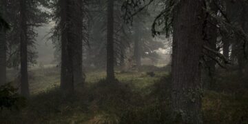 The Growing Lawlessness in California’s Forests