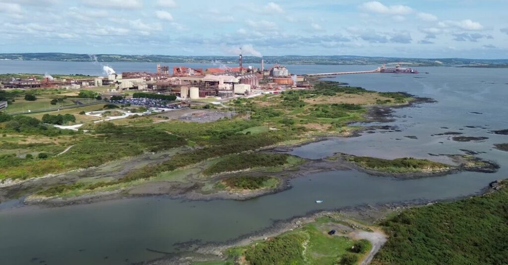 A Factory in Rural Ireland Is at the Center of a Dispute Over Russia