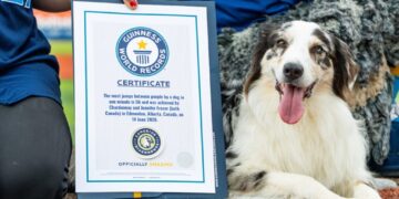 This dog raced across the backs of 56 people to set a world record