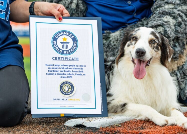 This dog raced across the backs of 56 people to set a world record
