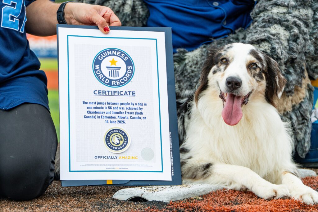 This dog raced across the backs of 56 people to set a world record