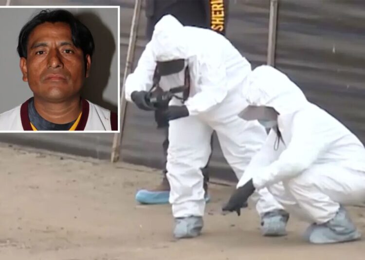 California dad raped 14-year-old daughter before their newborn baby was found dead on remote road: cops