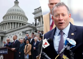 192 House Dems refuse to disavow socialism in telling vote ahead of midterms: ‘Insidious movement’ 