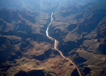 Deep in the Grand Canyon, the rain left them nowhere to go