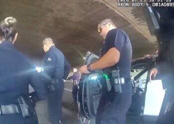 Deaths of 2 Men in Los Angeles Police Custody Set Off Investigations