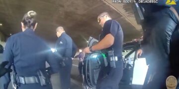 Deaths of 2 Men in Los Angeles Police Custody Set Off Investigations