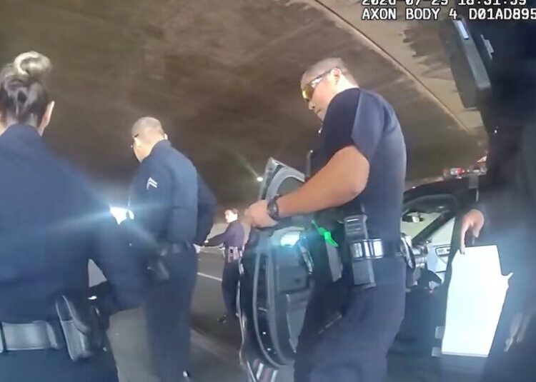 Deaths of 2 Men in Los Angeles Police Custody Set Off Investigations